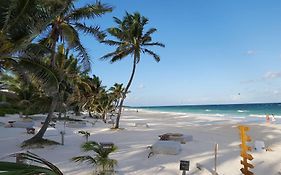 The Beach Resort Tulum